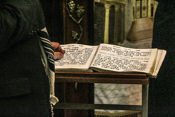 Man Reads Psalms at Kotel 2