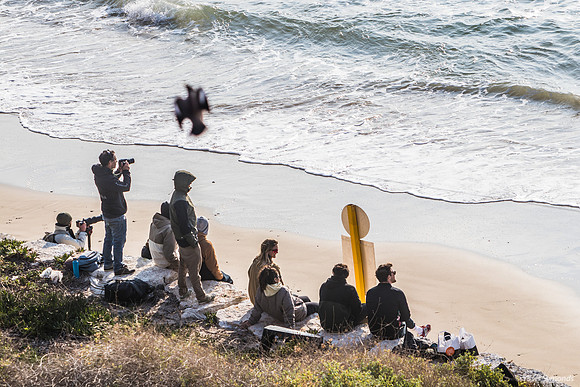 Bird or Drone at Surfing Championship  220325-1