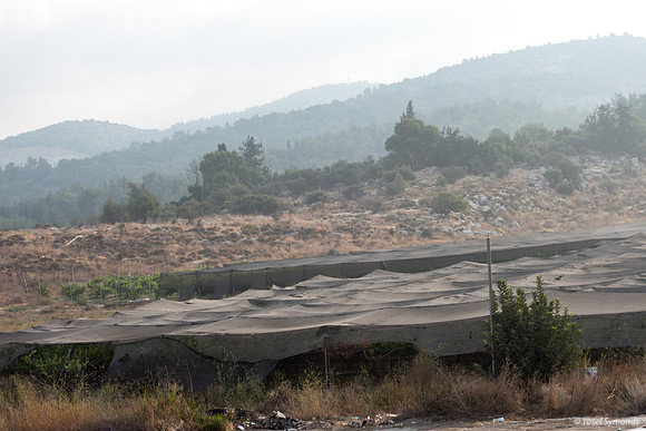 Misty Morning Beit Shemesh 190920-2