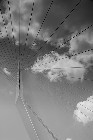 160529-StringBridge_Jerusalem-6914