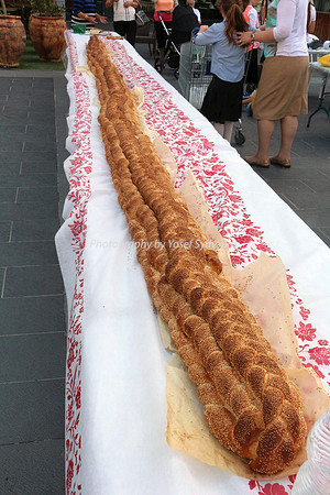 150702-NaimiMall_ArtsFair-5690