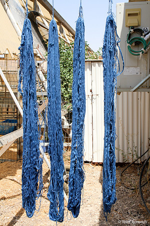 Techelet Blue Strings Drying after Coloration 7