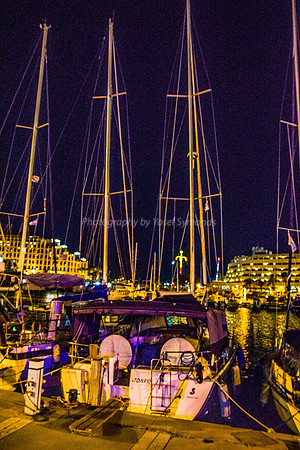 Masts on the Port at Night