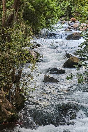 130528-Hula_Valley-2360-2
