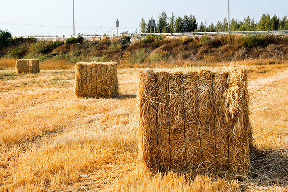 Haystacks in Field 170721-10