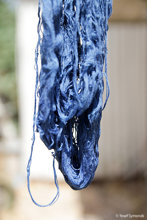 Techelet Blue Strings Drying after Coloration 6