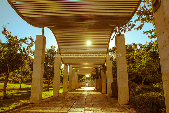 Undulating Pathway Cover - Park Ayalon - 8