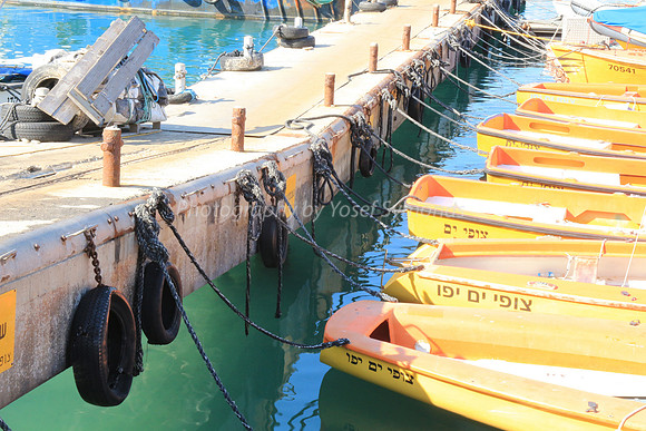Jaffa Fishing Port