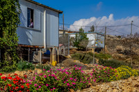Home and Garden 131204-4