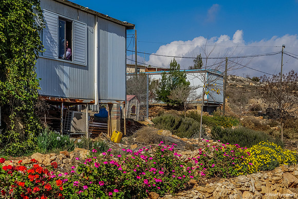Home and Garden 131204-4