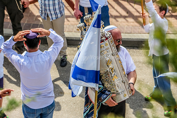 Torah and Flag 3