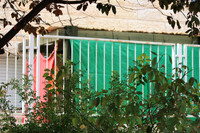 Contrasty Sukkah in Green Foliage