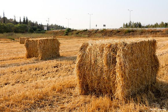 Haystacks in Field 170721-1