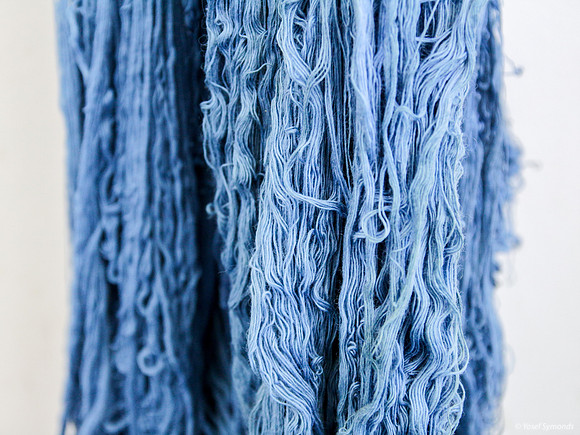 Closeup of Techelet Blue Strings Drying after Coloration 1