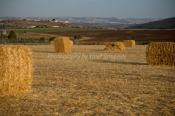 Haystacks Spread in Field 170721-36