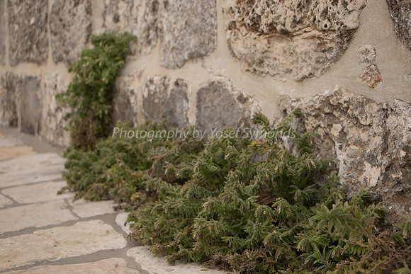 Temple Mount 140605 June 2014
