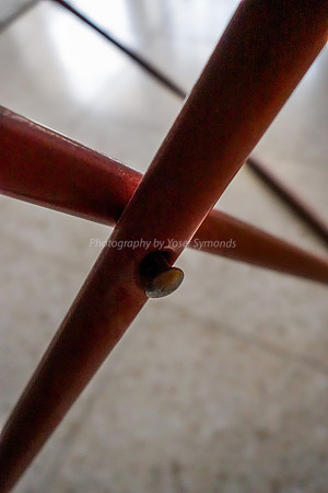 Clothes Drying Rack 4