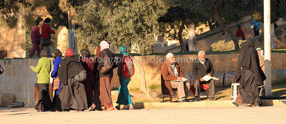 140209-HarHabayit-9818A