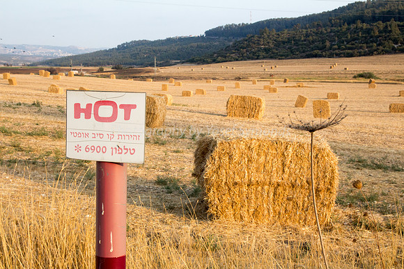 Hot in Field of Haystacks