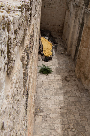 Temple Mount 140605 June 2014