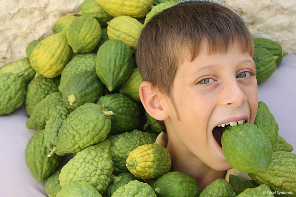 Boy Eating Etrog (2)