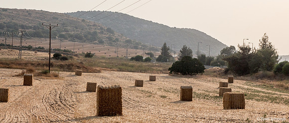 Haystacks in Field Against Sun 170721-2