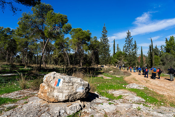 Israel National Trail 250109-1