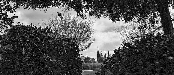 Park Ayalon - Top Looking East 2