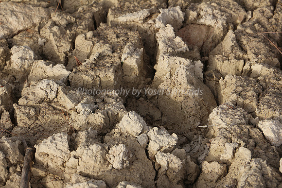 Caked Mud 2