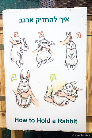 Visitors Guide to Rabbit Holding 220811-1