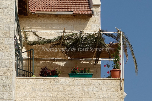 Spanish Sukkah