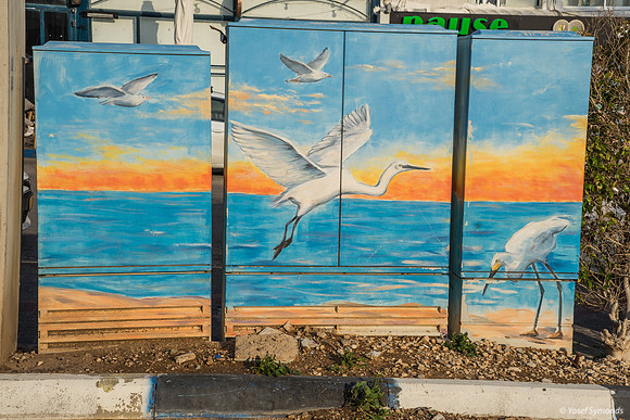 Bird Graffiti 220325-1