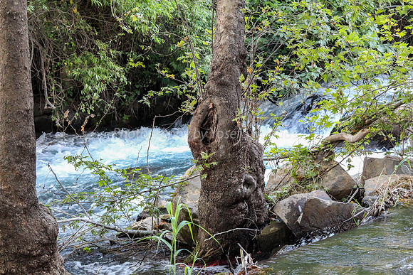 130528-Hula_Valley-2370-2