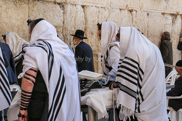 Men Praying at Kotel 10