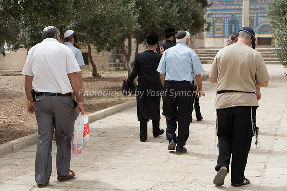 Temple Mount 140605 June 2014