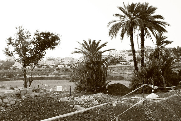 Mem 3 Antiquities Ramat Beit Shemesh  (16)