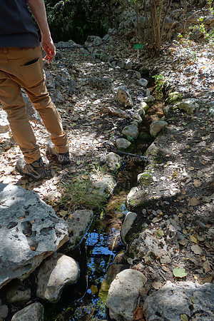 Watery Path 2