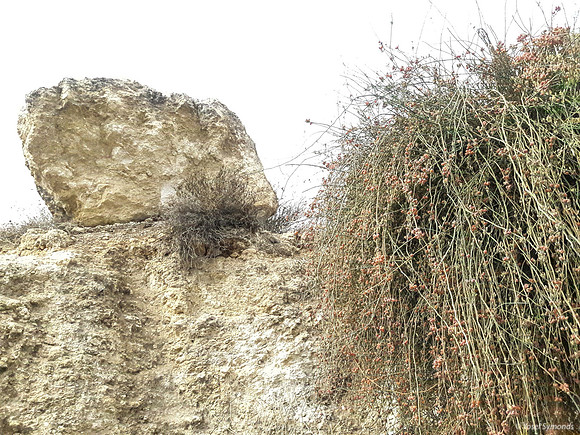 Rock Outcrop on Empty Lot 4