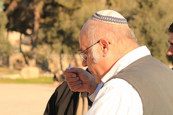 140209-HarHabayit-9822