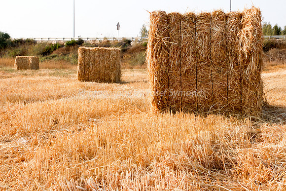 Haystacks in Field 170721-6