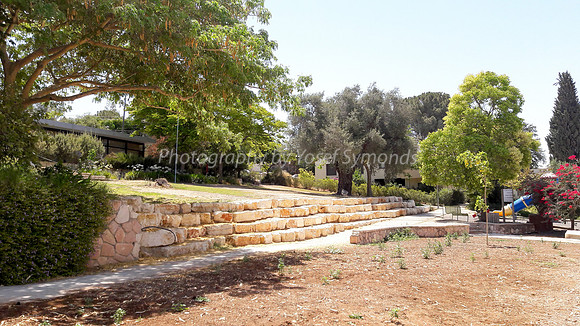 Path and Grass Areas