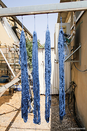 Techelet Blue Strings Drying after Coloration 8