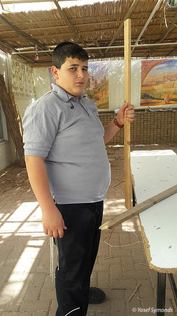 Building a Succah 3