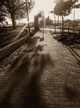 Early Morning Hayarkon Hayarden Circle