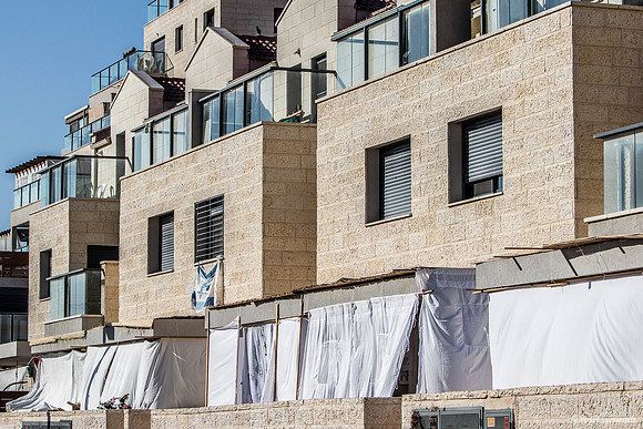 White Pawns Sukkot 241023-2