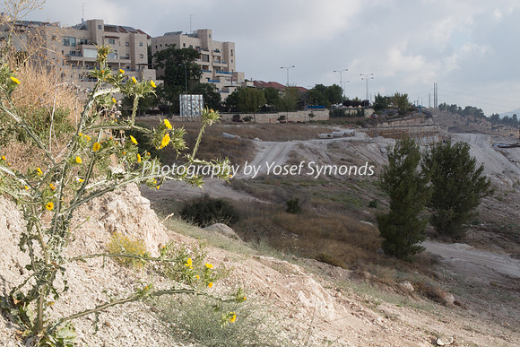 Mishkafayim 2014 Q3 7994C