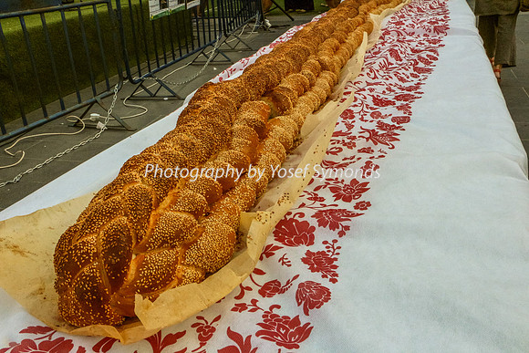 150702-NaimiMall_ArtsFair-5686