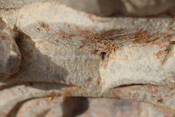 Closeup of Gold Flakes 161009-2