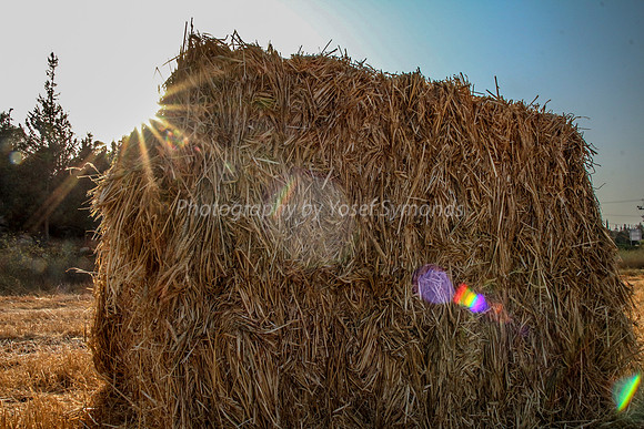 Haystack in Flare 170721-16