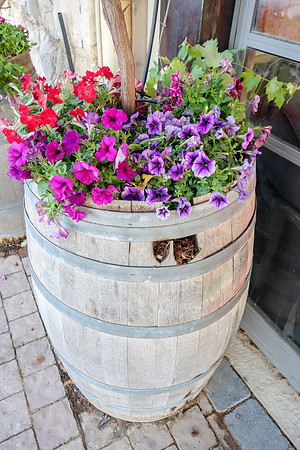 Flowers in Wine Barrel 2